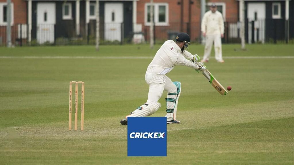 Crickex betting site featured image